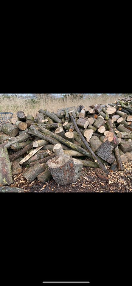 Kaminholz Brennholz Stammholz Feuerholz in Wilhelmshaven