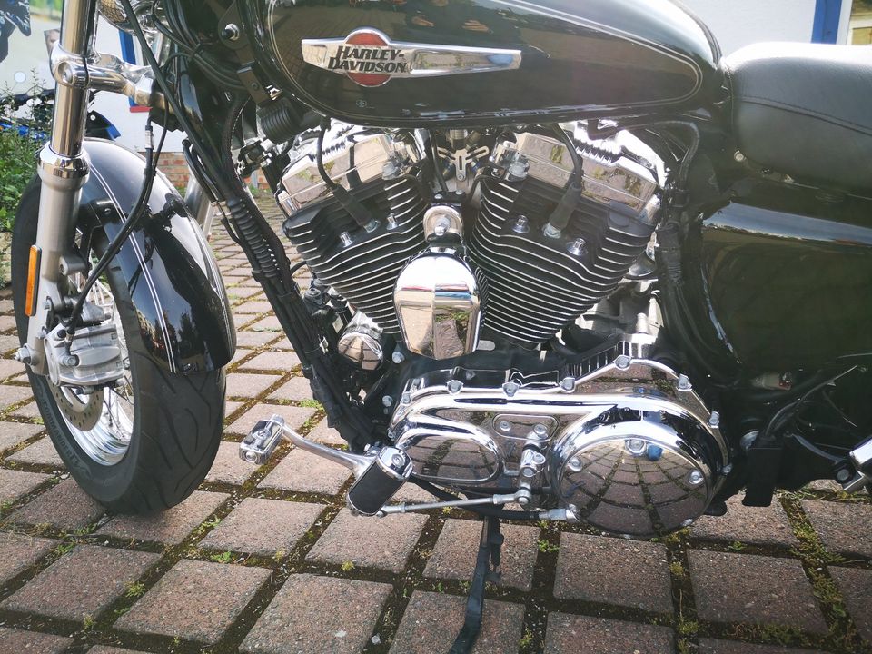 Harley-Davidson Sportster XL 1200C Custom in Wernigerode