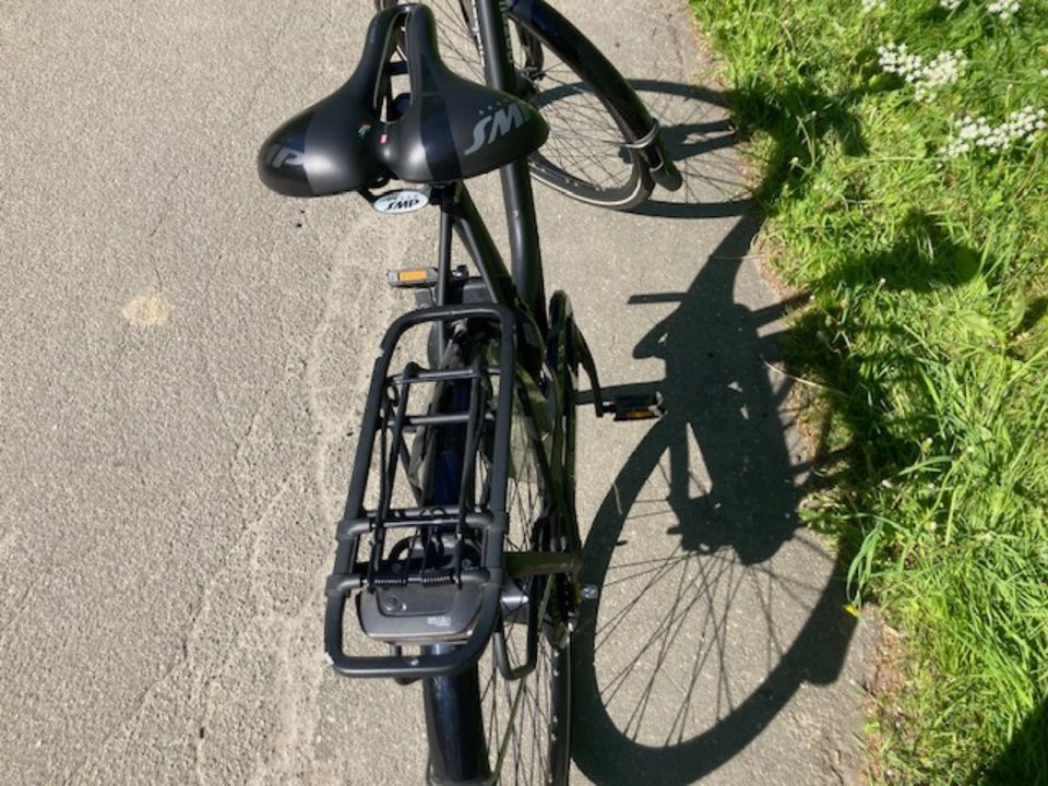 Gazelle Arroyo C7+ RH57cm - KEIN E-BIKE!!! Tourensattel, Klickfix in Flensburg