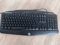 Verkaufe RGB Gaming Tastatur Mecklenburg-Vorpommern - Neubrandenburg Vorschau