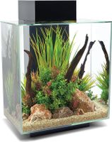 Fluval Edge, 46L, Aquarium Nanocube Hessen - Rodgau Vorschau