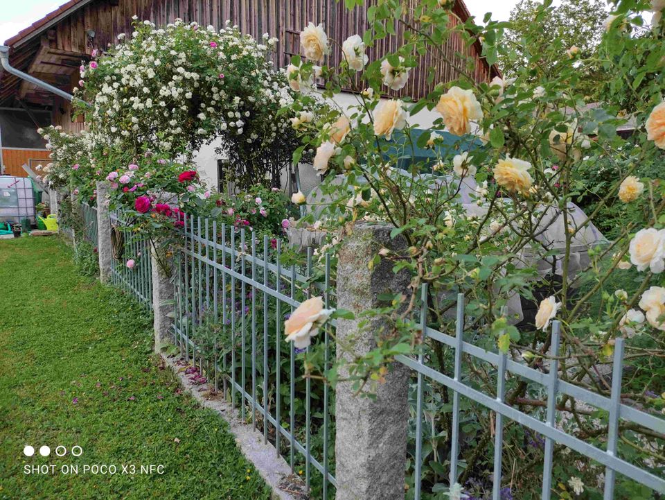 Gartenpflege, Objektbetreuung, Reparaturen am und im Haus in Fürstenzell