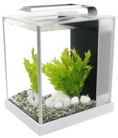 Aquarium zum verkaufen Niedersachsen - Georgsmarienhütte Vorschau