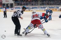 Sportfotograf aus Dresden Dresden - Loschwitz Vorschau