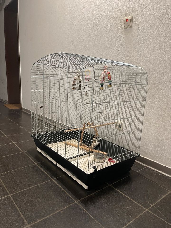 Vögel Käfig in Osnabrück