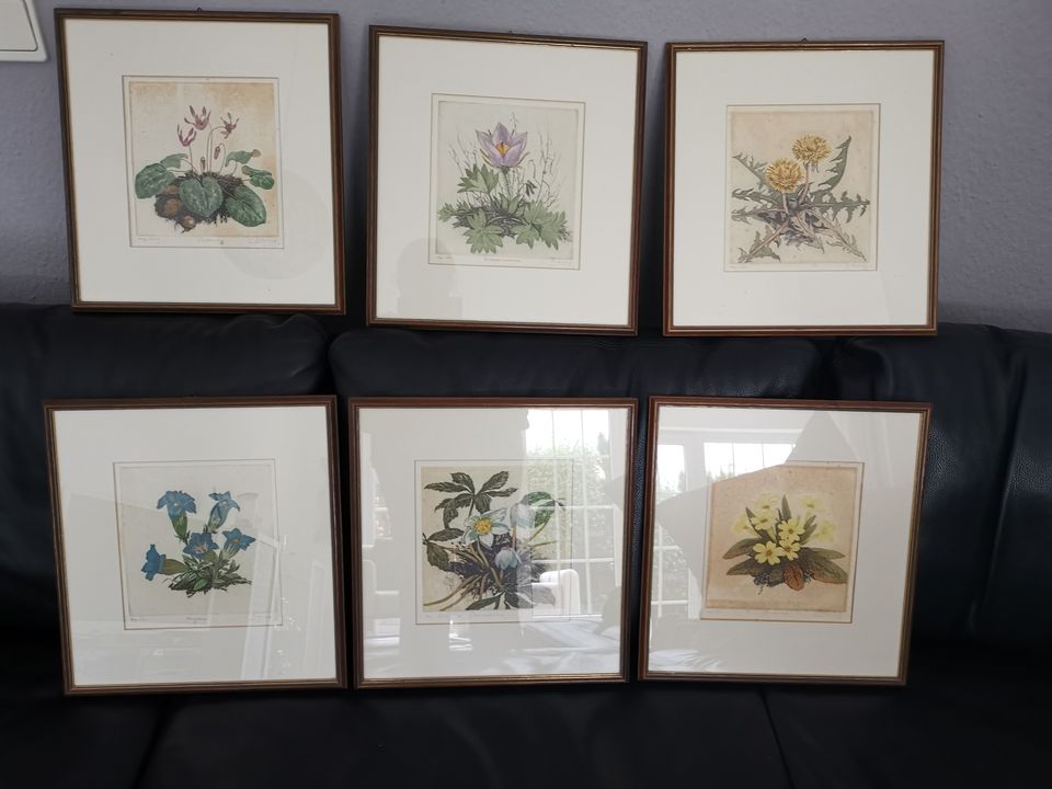 6 original Radierungen 80er Jahre florale Motive signiert in Meckenheim