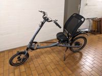 Scooterbike Liegefahrrad Herzogtum Lauenburg - Wentorf Vorschau