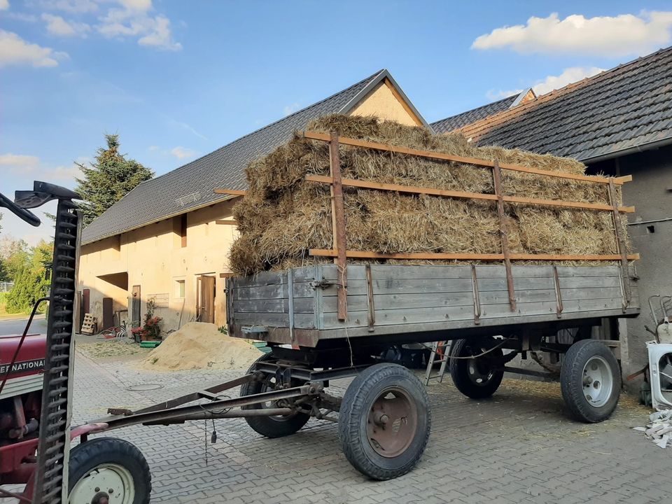 Stroh, Strohballen, HD-Ballen, Klein Ballen in Wittichenau