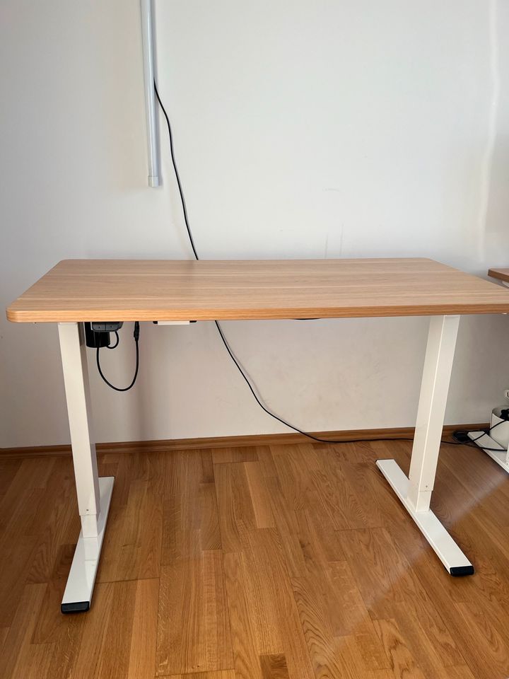 FlexiSpot höhenverstellbarer Schreibtisch EG1 120x60cm in München