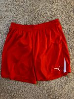 Puma Shorts Herren Gr. XL Brandenburg - Eichwalde Vorschau