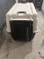 Transportbox Hund Katze Thüringen - Jena Vorschau