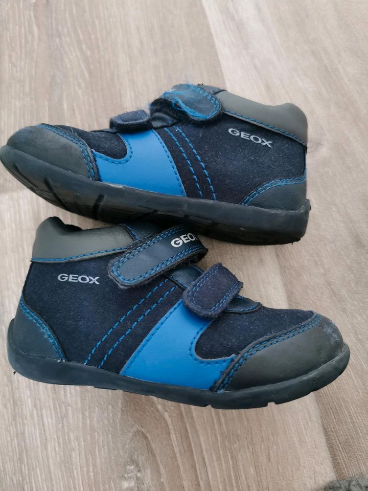 Geox Kinderschuhe in Breisach am Rhein  