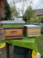 Bienenbeuten, Langstroth 2/3,Holz, Zargen, Böden, Deckel Brandenburg - Fehrbellin Vorschau