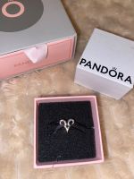Neue Pandora-Perlen zu verkaufen 925pro Schleswig-Holstein - Kappeln Vorschau