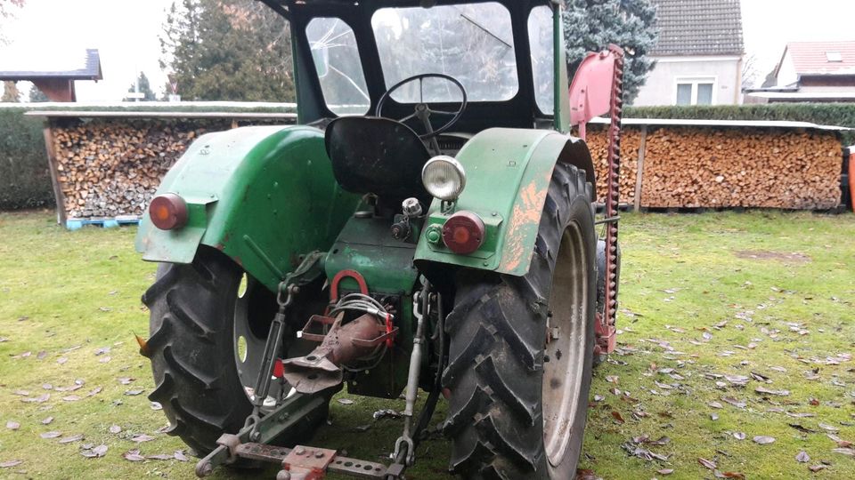 Traktor Famulus RS 14/30 Schlepper Treckertreck Alt in Halbendorf