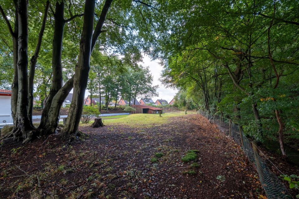 STOP!!! Vielfältige Nutzung - Energetisch perfekt - verschiedene Kaufoption in Osterrönfeld