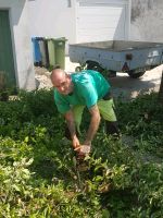 Gàrtner ,Gartenpflege Bayern - Ingolstadt Vorschau