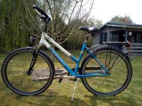 Rabeineick Damen Alu Trekkingrad 7005 Mod. Katana SLT/N gebraucht Niedersachsen - Uelsen Vorschau