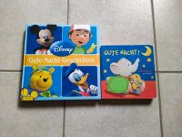 Disney Gute Nacht Buch + ein Buch gratis Rheinland-Pfalz - Hettenrodt Vorschau