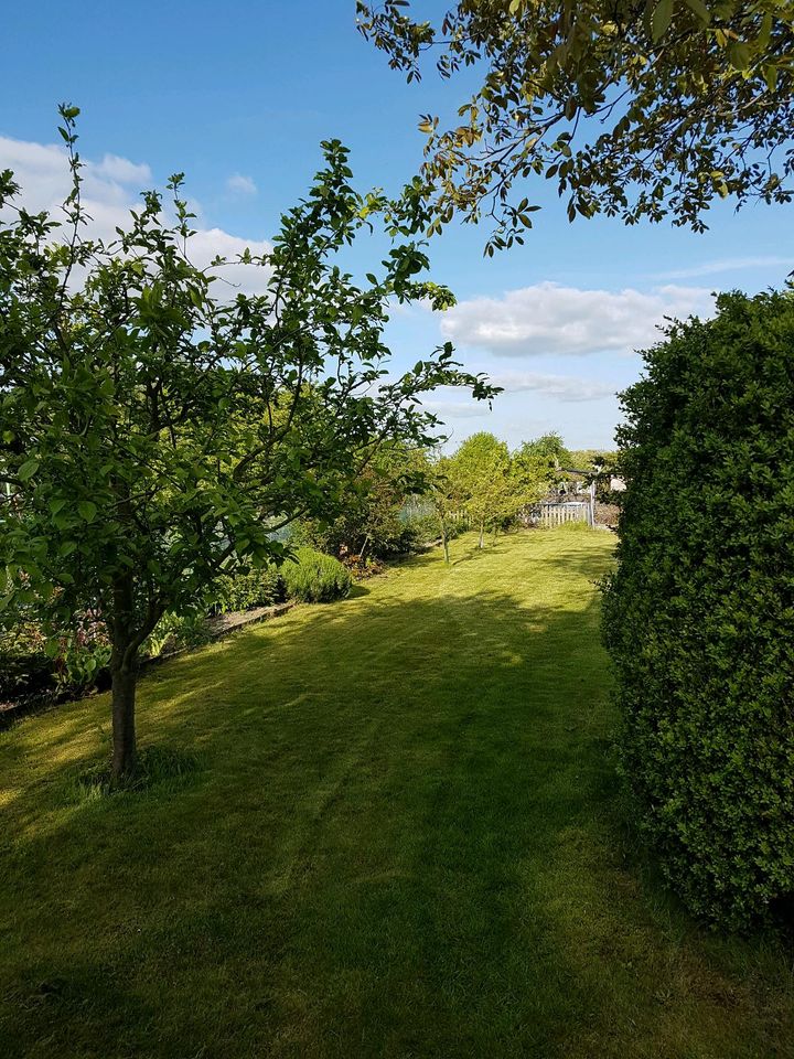 Schrebergarten, Garten mit Häuschen in Braunschweig