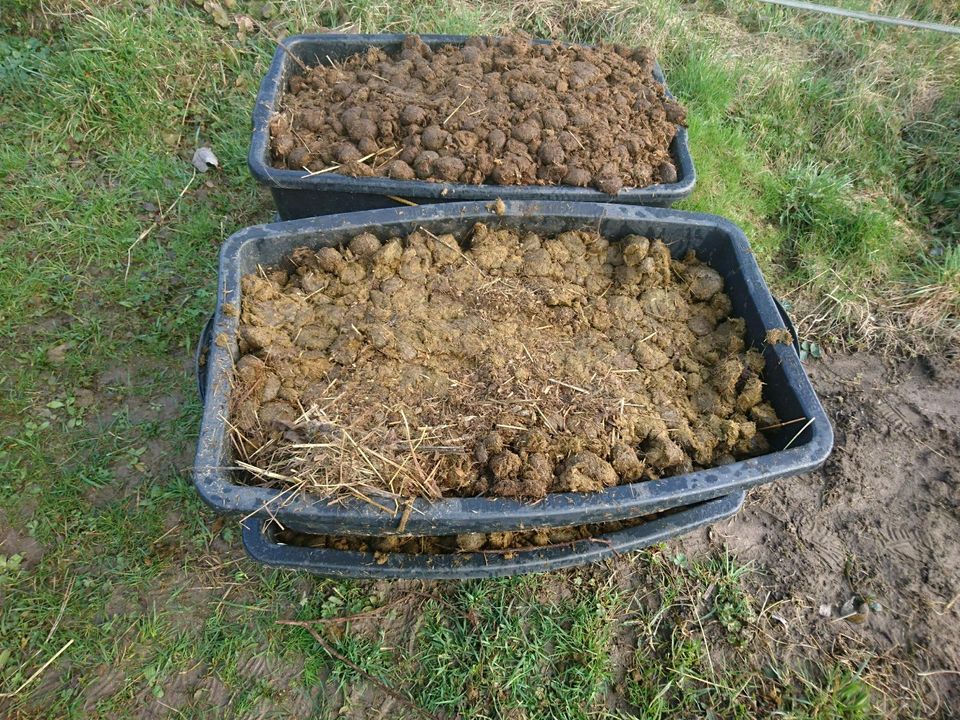 Pferdemist Dünger Hochbeet Gemüse Rosen Garten Wurmkompost Tomate in