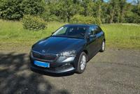Skoda Scala 1.0 TSI 81kW Style Style Hessen - Hünfeld Vorschau