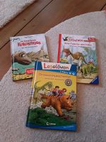 Dinosaurier Bücher Lesestufe 1 u d 2 Drache Kokosnuss Berlin - Steglitz Vorschau