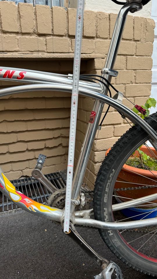 Stevens Cruiser Fahrrad Chrome in Wiesbaden