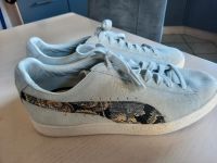 Puma Suede hellgrau/gold Gr.42,5 neuwertig Schleswig-Holstein - Rickert Vorschau