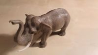 Schleich elefant Kiel - Russee-Hammer Vorschau