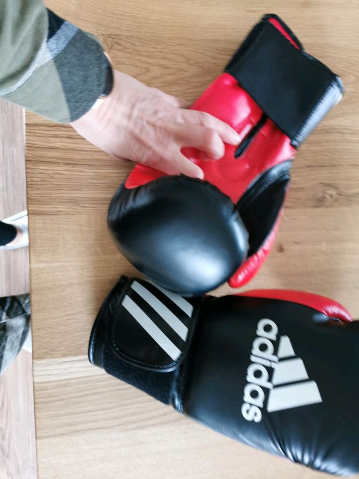 Box Handschuhe in Hamm