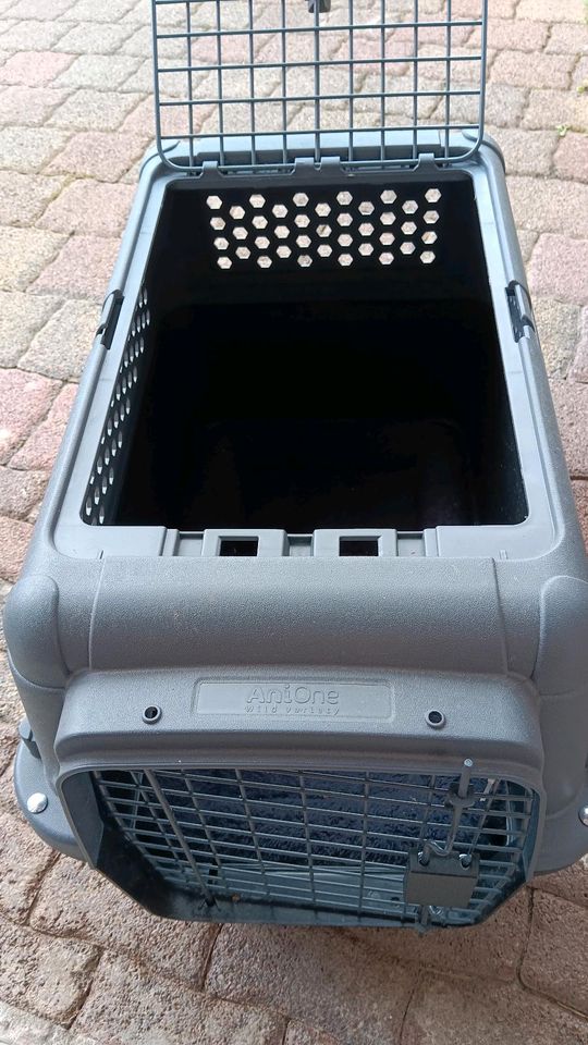 Transport Box Hund/Katze.... in Gernsheim 