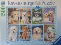 Ravensburger Puzzle 1500 Teile Niedersachsen - Garbsen Vorschau
