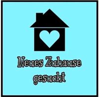 Suche dringend 2 - 3 ZKB Wohnung ab 85 m2 Rheinland-Pfalz - Bendorf Vorschau