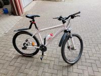 Specialized Hardrock Sport Bike EN 14766 Hessen - Lichtenfels Vorschau