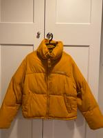 Gelbe puffer Jacke Bielefeld - Senne Vorschau