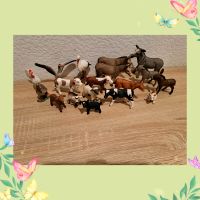 ☆Schleich☆Bauernhof Tiere☆Esel☆Kalb☆Zicklein☆Gans☆Hahn☆Lamm☆ Nordrhein-Westfalen - Gelsenkirchen Vorschau