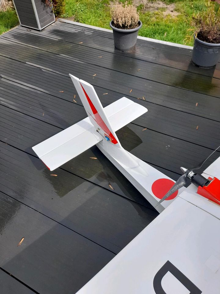 Experimental modellflugzeug in Bad Langensalza