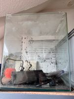 Dennerle Nanocube Aquarium 60l Mecklenburg-Vorpommern - Greifswald Vorschau