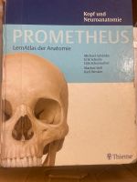 Prometheus Kopf und neuroanatomie lernatlas Eimsbüttel - Hamburg Niendorf Vorschau