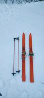 Ski DDR Plastik Germania Sachsen - Cunewalde Vorschau