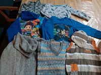 Jungen Pullover Gr. 110/116 Ninjago Paw Patrol Niedersachsen - Steyerberg Vorschau