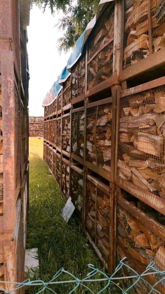 Buche Eiche Kaminholz günstig kaufen Brennholz in der Nähe kaufen in Essen