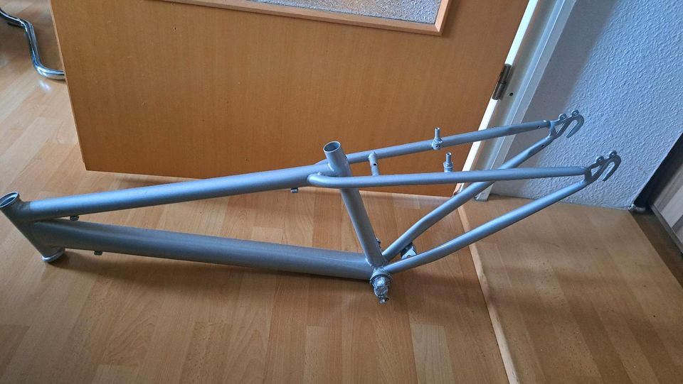 Fahrrad Rahmen Fahrradrahmen Silber Projektaufgabe in Halle