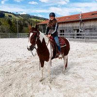Wunderschöne, dreijährige Paint Horse Stute, Schecke Bayern - Missen-Wilhams Vorschau