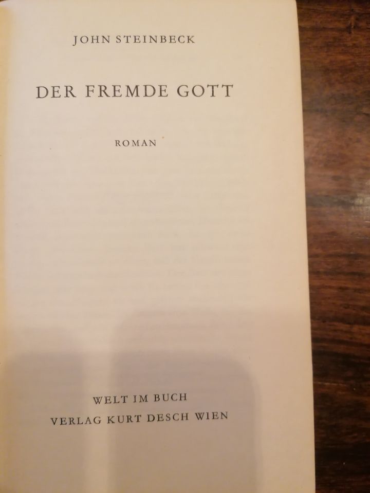 BUCh - Der fremde Gott - John Steinbeck - gebunden in Euskirchen