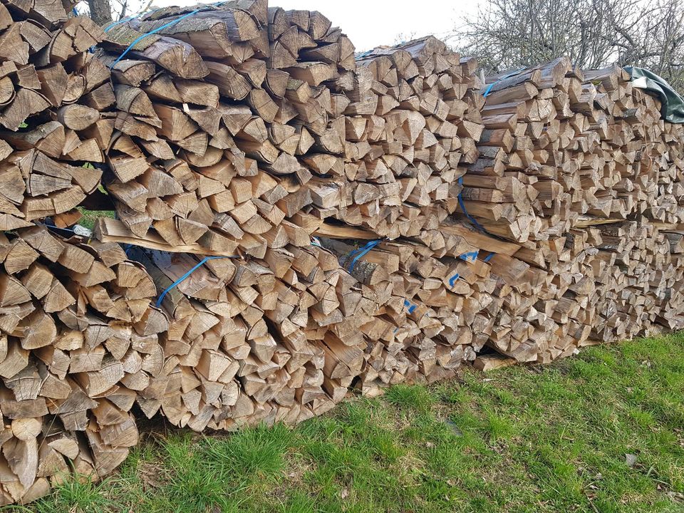 Trockenes gebündeltes Brenholz in Eberdingen