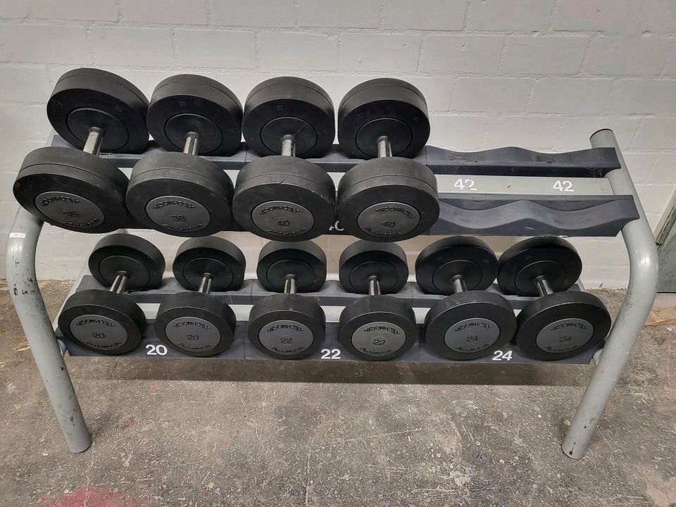 TECHNOGYM GYM DUMBBELL SET KURZHANTEL GEWICHTE RACK 80 in Gremmendorf