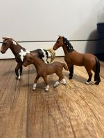 Schleich Pferde Familie Sachsen-Anhalt - Brehna Vorschau