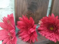 3x Gerbera in rot - Kunstblume - gut erhalten Baden-Württemberg - Buchen (Odenwald) Vorschau